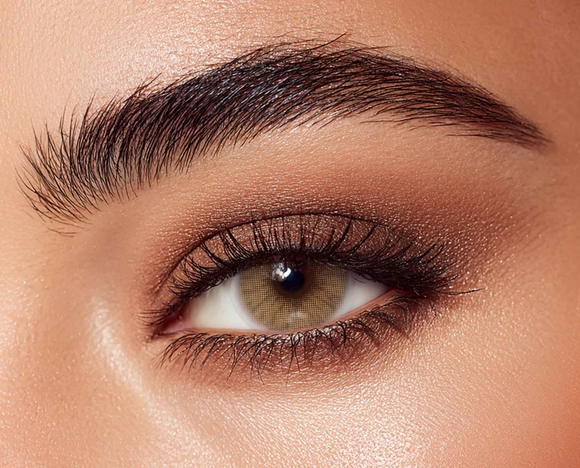 Les luntilles sollotica