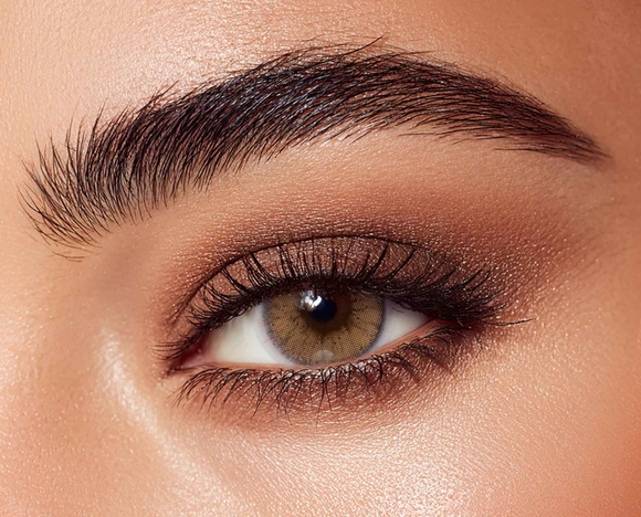 Les luntilles sollotica