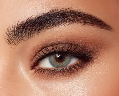 Les luntilles sollotica